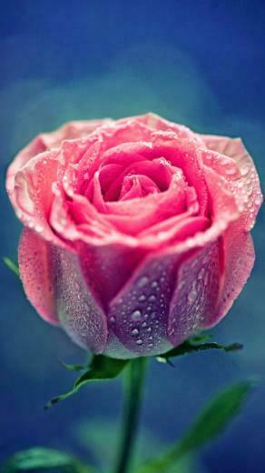 Awesome iPhone Plus HD Wallpaper