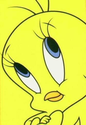 Tweety Bird Photo