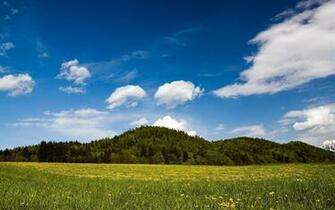 Sunny Day Background
