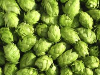 Best Brewery Background Wallpaper