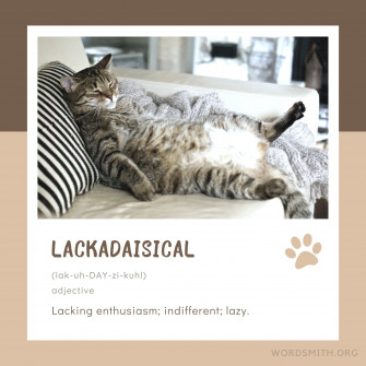 Lackadaisical Definition Wallpaper