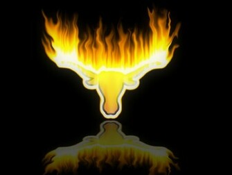 Longhorn Wallpaper Jpg