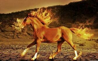 Horse 3d iPhone Awesome Pictures Wallpaper High