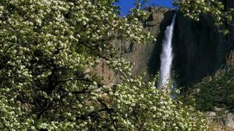 Spring Season Falls California Yosemite National Park