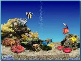 3d Aquarium Screensaver