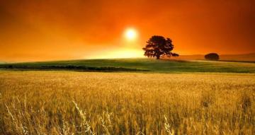 Farm Landscapes Landscape Pemandangan Gambar