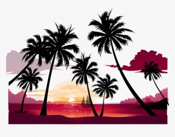 Display Resolution Summer Wallpaper Sunset Palm Tree Png