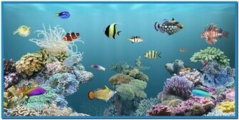 Live Fish Aquarium Screensaver