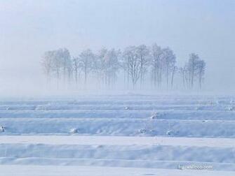 Wallpaper Vast Snowy Field Snow Covered