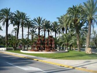 Palmeral Of Elche Desktop Wallpaper