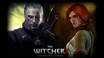 The Witcher Assassins Of Kings HD Wallpaper And Background