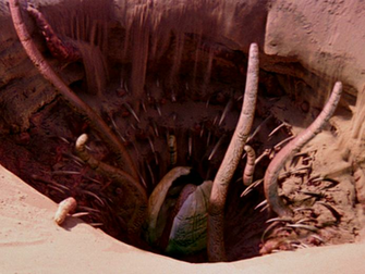 Sarlacc Wookieepedia Fandom