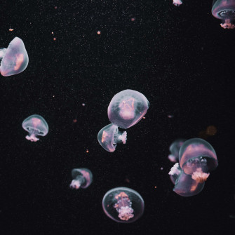 Make A Statement With This Sleek Dark iPad Wallpaper
