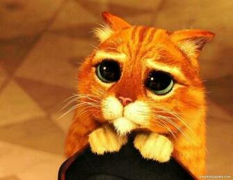 Puss In Boots Shrek Wallpaper Picture Desktop Background