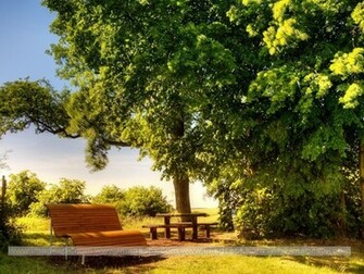 Sunny Day Wallpaper Imagepk