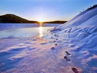 Enjoy A Full Year Of Lake George Photography By Carl Heilman This