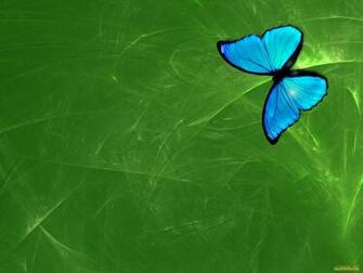 Gallery For Gt Green Butterflies Background