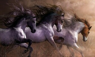 Beautiful Wild Horses Wallpaper