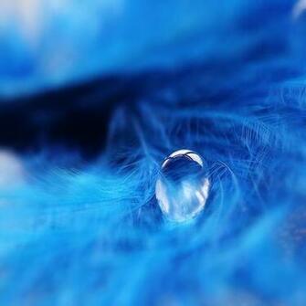 F56e9f014d O Cool Wallpaper For iPad