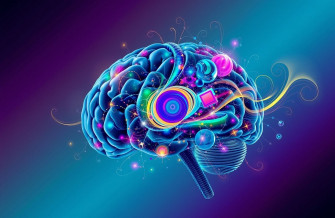 Brain Wallpaper HD