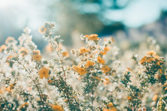 Top Spring Wallpaper Aesthetic Desktop You Can It