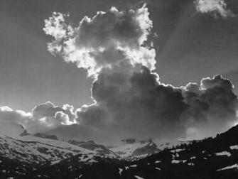 Black And White Nature Wallpaper Good Days