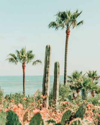 4k Summer Wallpaper