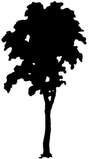 Tree Silhouette Art