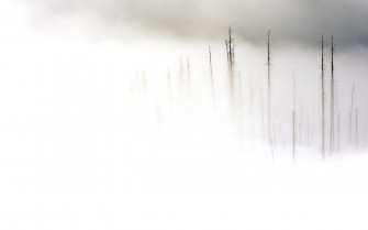 Plain White Wallpaper HD