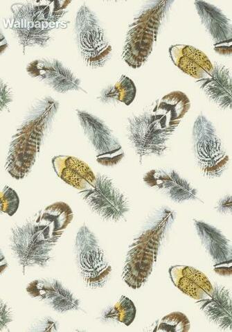 Thibaut Wallpaper Birding Shipping Designer