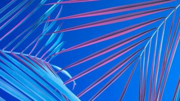 Blue Aesthetic Wallpaper HD Net