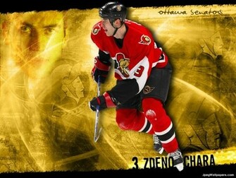 Zdeno Chara Wallpaper