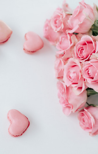 Pink Roses On White Table Photo Image