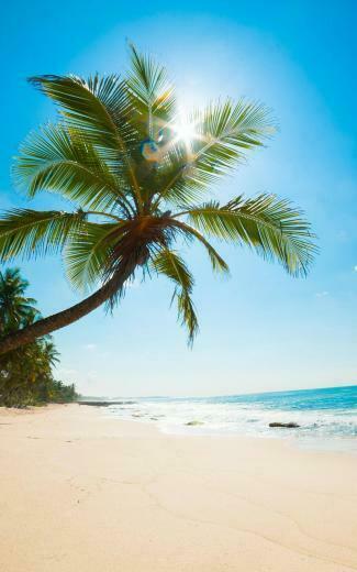 Sunny Beach HD Wallpaper For Kindle Fire HDx HDwallpaper Net
