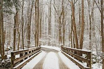 Winter Screensaver From William Britten Photography