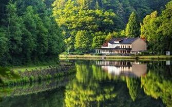 Wallpaper Germany River Reflection Tree House Summer Desktop