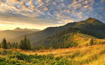 Spring Morning Wallpaper Top Background