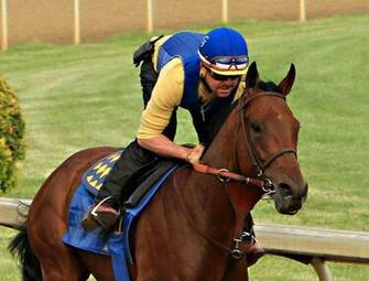 Preakness Derby Winner American Pharoah Draws Rail Is A