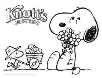 Source Url S Knotts Online Fun At Home Activities