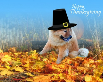 Thanksgiving Desktop Fun Wallpaper Collection