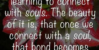 Deepak Chopra Quotes