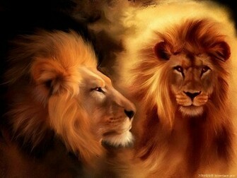 Desktop Wallpaper Background Tiger Lion