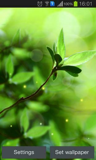 Spring Buds F R Android Kostenlos Herunterladen Live Wallpaper