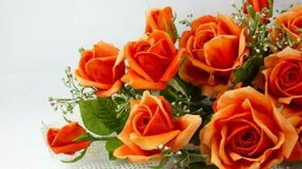 Beautiful Orange Rose Wallpaper Baltana