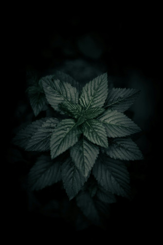 Photo 32456af7c128 Wallpaper