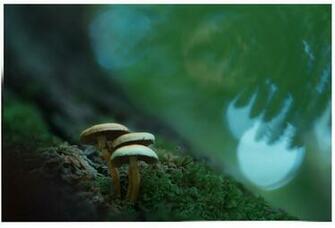 500px Foreground And Background