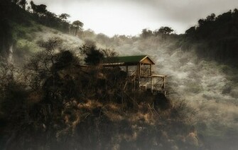 Misty Morning National Geographic Photo Contest