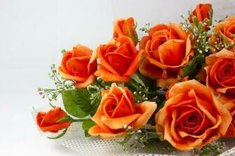 Orange Roses Wallpaper Allwallpaper In Pc En