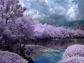 Wallpaper Amazing Nature Beautiful In HD