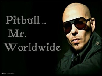 Pitbull Rapper Wallpaper